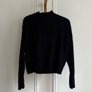Everlane Cashmere Black Mockneck Sweater